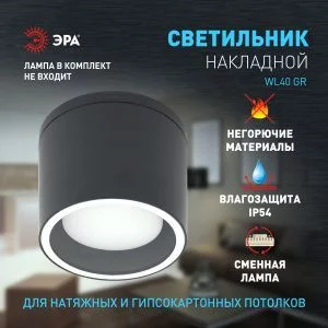 Светильник настенно-потолочный спот ЭРА WL40 GR GX53, серый, IP54