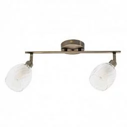 Светильник спот Arte Lamp BIHAM Бронза A3184PL-2AB