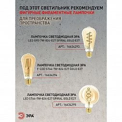 Светильник подвесной (подвес) ЭРА PL2 BK/RC металл, E27, max 60W, высота плафона 200мм, подвеса 780мм, черный/медь